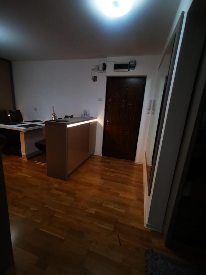 Luxury Apartment. 10 Minutes Taxi Ride To Center Timisoara Luaran gambar
